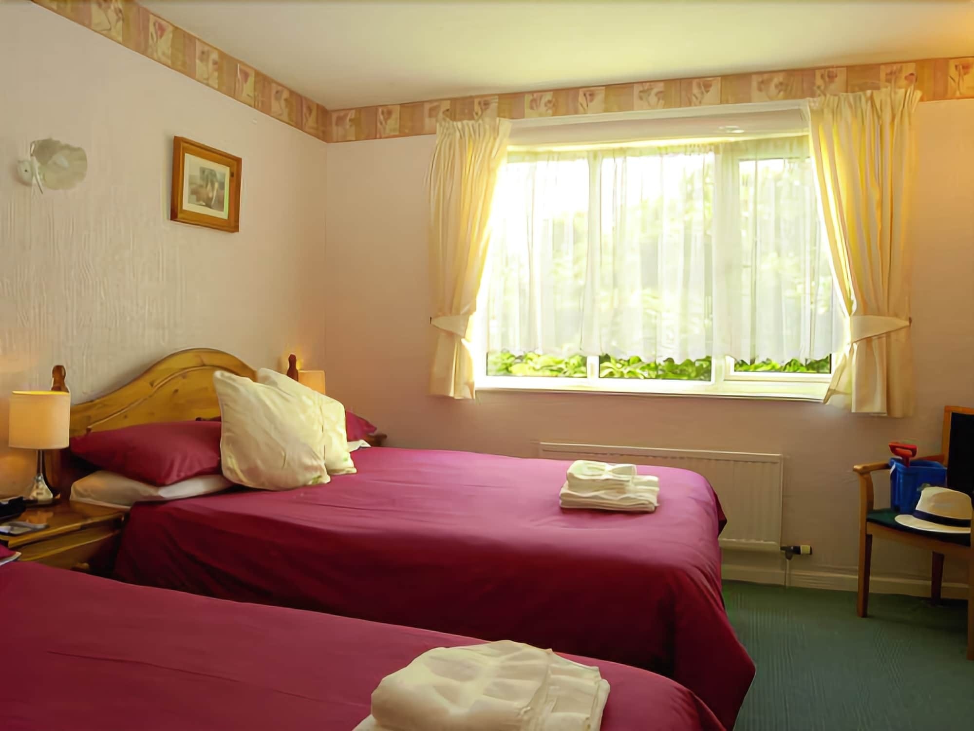 Capri Guest House トーキー エクステリア 写真